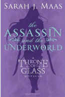 The Assassin and the Underworld book cover