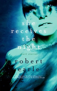 Cover for She Receives the Night. A stylized picture of a woman's face.