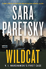 Wildcat book cover: a view of downtown Chicago.